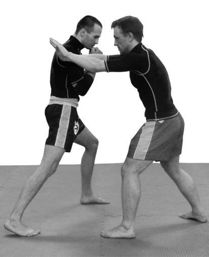 Реальный уличный бой. Книга-ультиматум - i_046.jpg