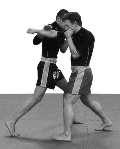 Реальный уличный бой. Книга-ультиматум - i_049.jpg