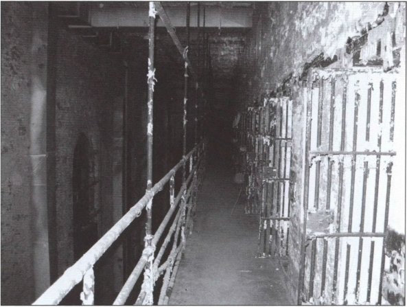 Стивен Кинг - i_020.jpg