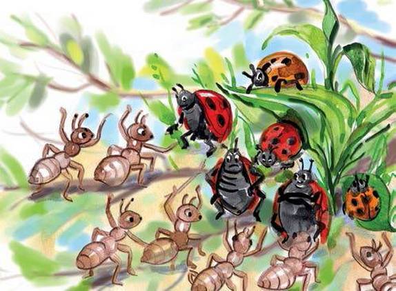 Фруечки - _10.jpg