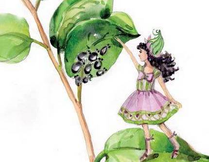 Фруечки - _6.jpg