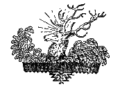 Молдавские сказки - i_023.png