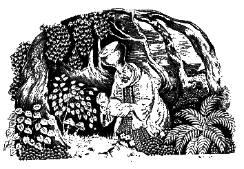 Молдавские сказки - i_097.png