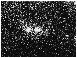 Мыслящая Вселенная - doc2fb_image_03000007.jpg