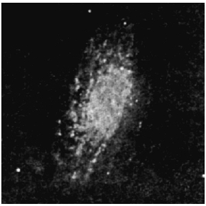 Мыслящая Вселенная - doc2fb_image_0300001A.jpg