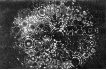 Разумная жизнь во Вселенной - doc2fb_image_02000002.jpg