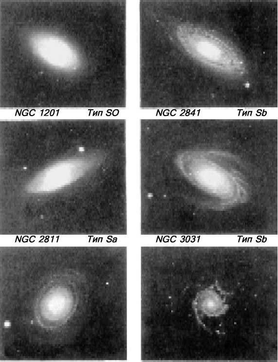 Разумная жизнь во Вселенной - doc2fb_image_02000006.jpg