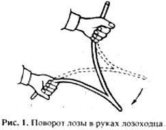 Биопатогенные зоны – угроза заболевания - _01.jpg