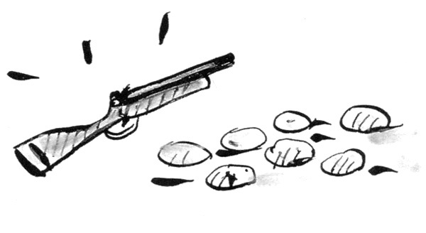 Суп из золотых рыбок - i_021.jpg