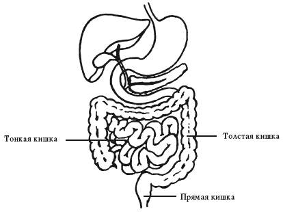 Запоры. Что делать? - i_002.png