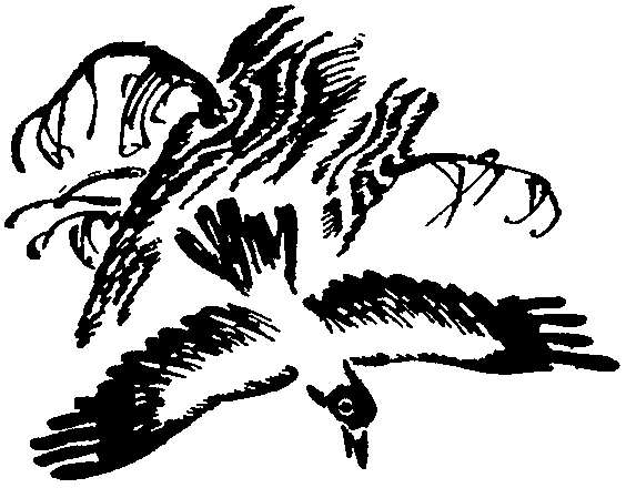 Лесная быль. Рассказы и повести - pic008.png