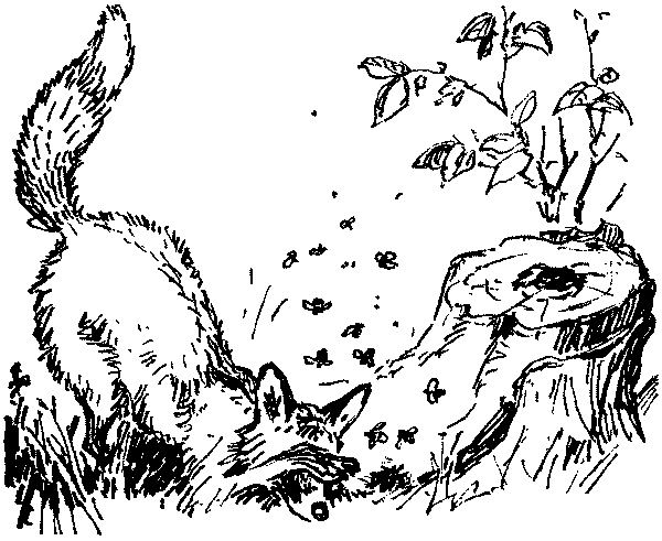 Полосатая спинка. Рассказы - pic06.png