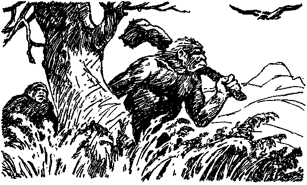 Рам и Гау - pic001.png