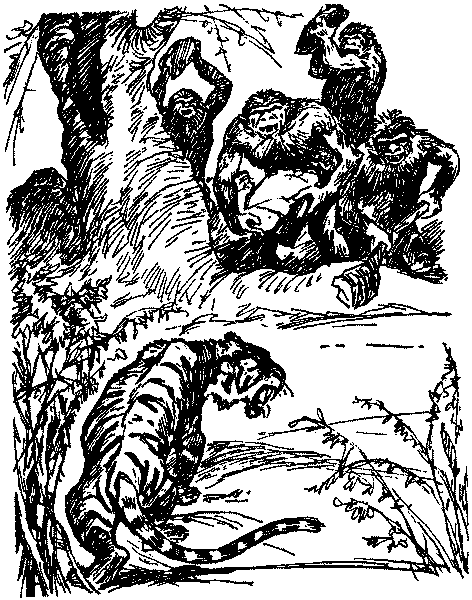 Рам и Гау - pic002.png