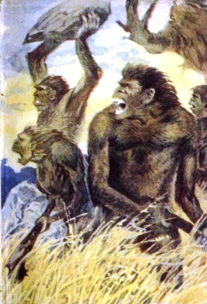 Рам и Гау - pic011.jpg