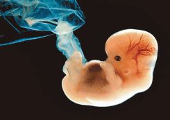 Биология. Общая биология. Базовый уровень. 10 класс - i_001.jpg