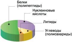 Биология. Общая биология. Базовый уровень. 10 класс - i_017.jpg