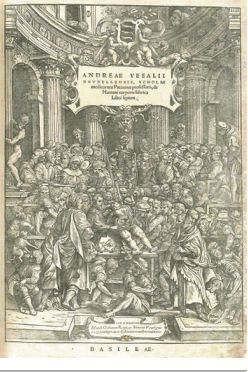 Биология. Общая биология. Базовый уровень. 11 класс - i_003.jpg