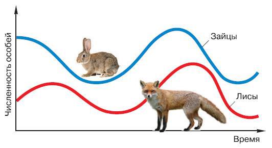 Естествознание и основы экологии - i_041.jpg