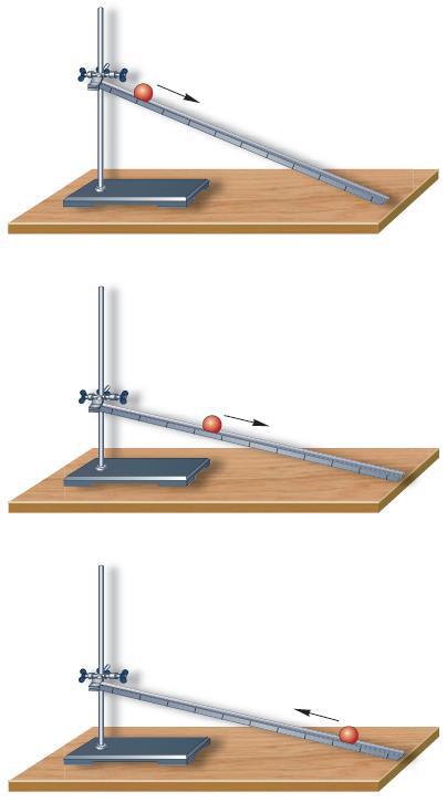 Естествознание и основы экологии - i_060.jpg