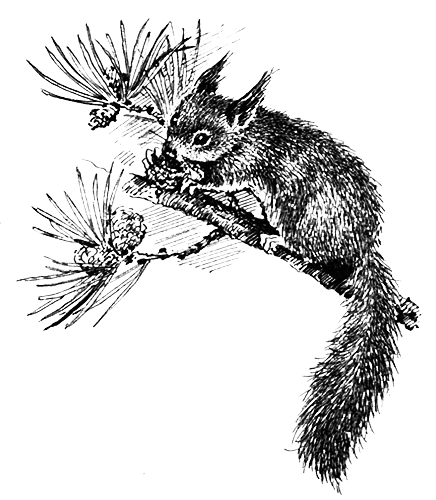 Млекопитающие - i_009.png