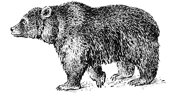 Млекопитающие - i_018.png