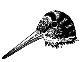 Птицы - i_002.png