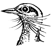 Птицы - i_003.png