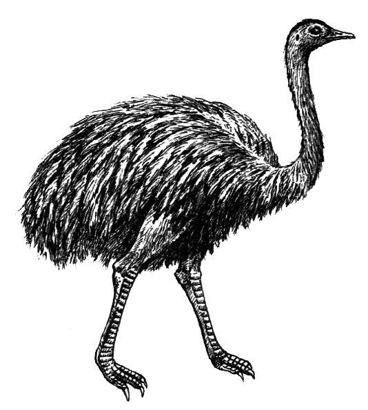 Птицы - i_005.png