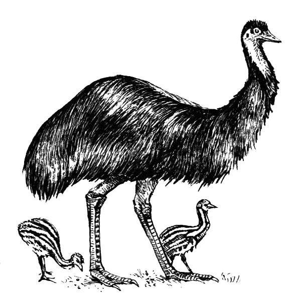 Птицы - i_006.png