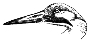 Птицы - i_017.png