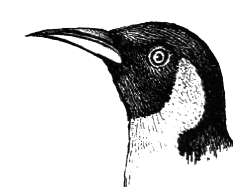 Птицы - i_037.png