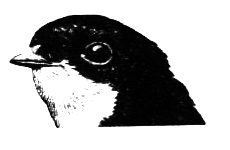 Птицы - i_039.png