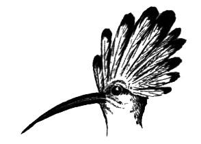 Птицы - i_043.png