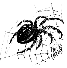 Членистоногие (Ракообразные. Паукообразные) - i_024.png