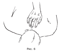 Массаж при половых расстройствах - pic_6.png