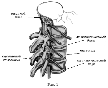 Массаж при радикулитах - i_001.png