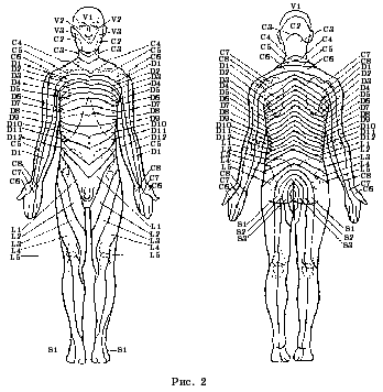 Массаж при радикулитах - i_002.png