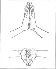 Заповедник здоровья - i_008.jpg