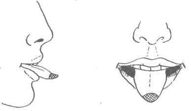 Заповедник здоровья - i_018.jpg