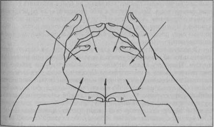 Заповедник здоровья - i_022.jpg