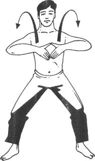 Семь горизонтов Силы - i_006.jpg