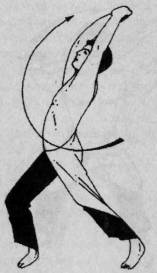 Семь горизонтов Силы - i_016.jpg