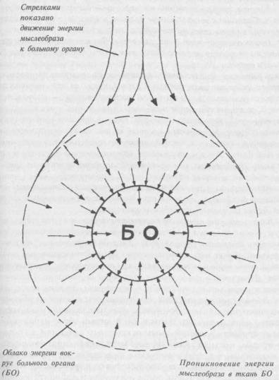 Семь горизонтов Силы - i_033.jpg