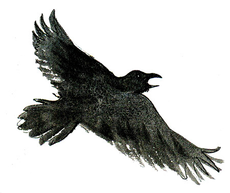 Мой папа - птиц - i_023.jpg