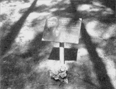 Я буду жить до старости, до славы... - i_037.jpg