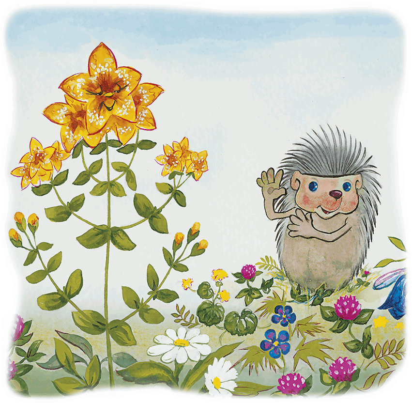 Ёжик в тумане. Сказки - i_060.png