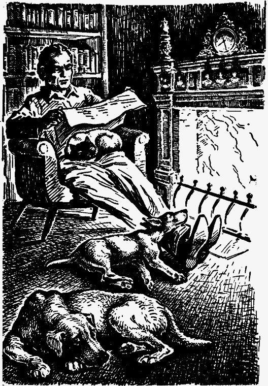 Невероятное путешествие - br008.png