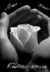 Слабость короля (СИ) - автор Драч Маша 