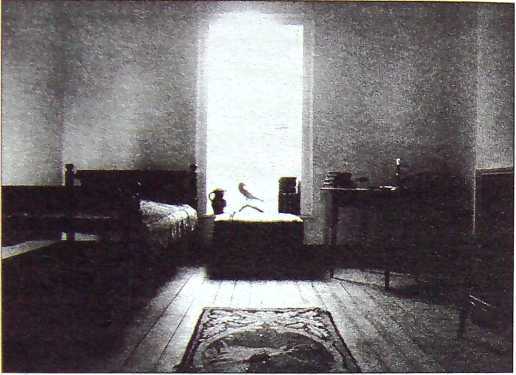 Эдгар Аллан По. Поэт кошмара и ужаса - i_004.jpg